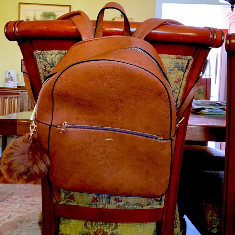 Aldo brown backpack